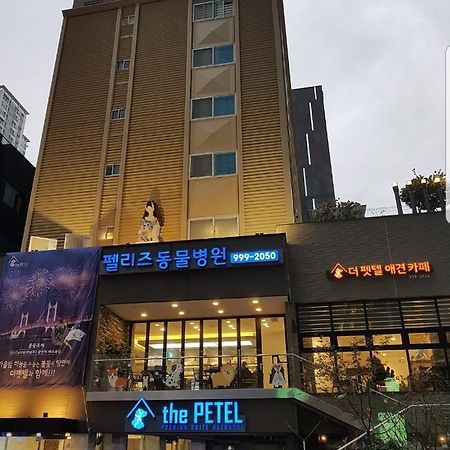 เดอะ เพเทล พรีเมียม สวีท Hotel ปูซาน ภายนอก รูปภาพ