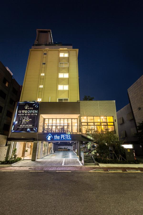เดอะ เพเทล พรีเมียม สวีท Hotel ปูซาน ภายนอก รูปภาพ