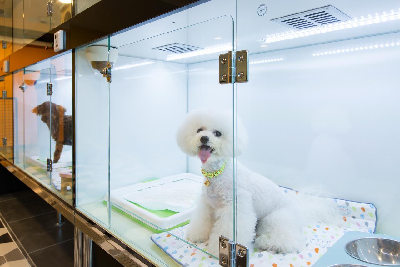 เดอะ เพเทล พรีเมียม สวีท Hotel ปูซาน ภายนอก รูปภาพ